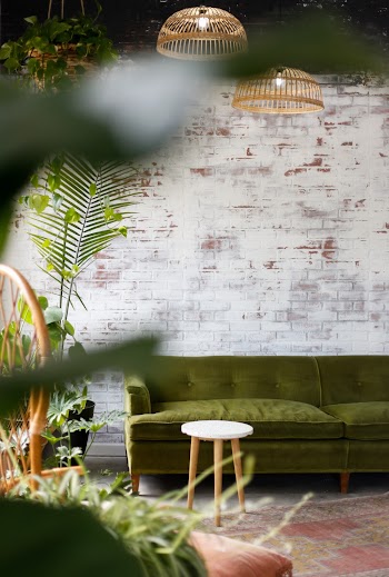 Selective Focus Photography of Green Sofa