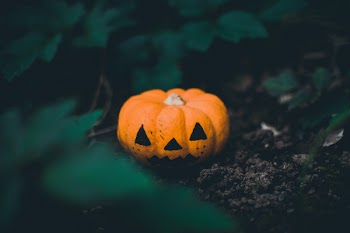 Selective Focus Photography of Jack-o-lantern