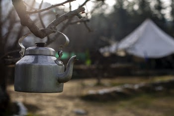 Selective Focus Photography of Kettle Hanging on Branch