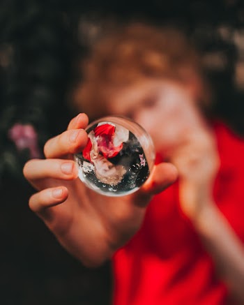 Selective Focus Photography Of Lensball