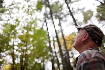 Selective Focus Photography of Man Looking Upward