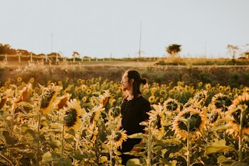 Selective Focus Photography of Man Standing and Surrounded by Sunflower