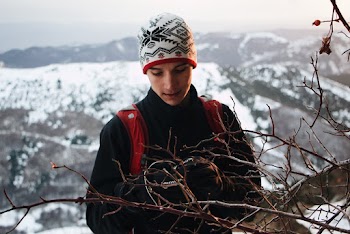 Selective Focus Photography of Man Standing Beside Tree on Mountain