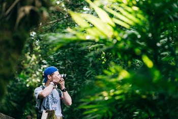 selective focus photography of man taking picture of trees