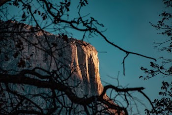 Selective Focus Photography Of Mountain