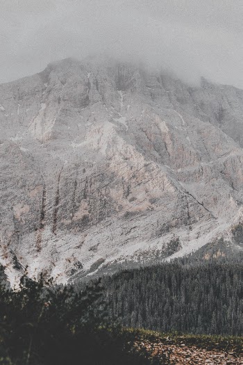 Selective Focus Photography of Mountain