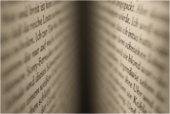 Selective Focus Photography of Open Book