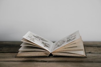 selective focus photography of opened book