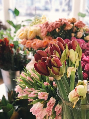 Selective Focus Photography of Pink and Red Flowers