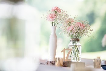 Selective Focus Photography of Pink Carnation Flowers and Baby's Breath Flowers in Clear Glass Vase