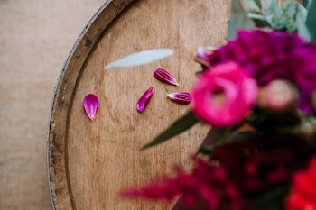 Selective Focus Photography of Pink Petals