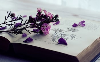 Selective Focus Photography of Purple Flowers on Book Page