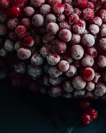 Selective Focus Photography of Red Berries
