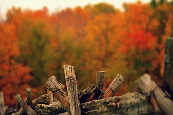 Selective Focus Photography of Red Firewood With Wires