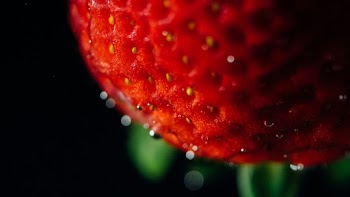Selective Focus Photography of Red Petaled Flower