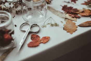 Selective Focus Photography of Scissor Beside Leaves on White Table