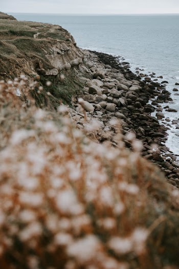 Selective Focus Photography of Seashore With Stones Near Sea