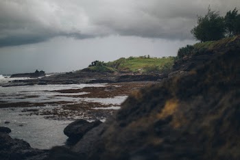 Selective Focus Photography of Shore