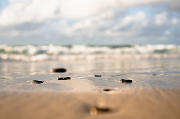 Selective Focus Photography of Shoreline