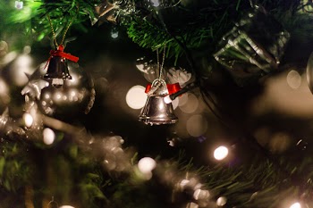 Selective Focus Photography Of Silver Bell