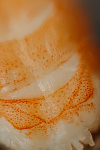 Selective Focus Photography of Sushi
