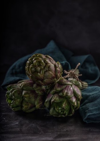 selective focus photography of three green succulent plants on blue cloth