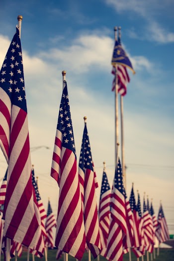 Selective Focus Photography of U.s.a. Flag on Poles