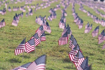 selective focus photography of USA flaglets planted on ground