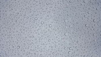 selective focus photography of water droplets