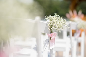 Selective Focus Photography of White-petaled Flowers