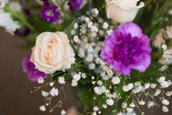 Selective Focus Photography of White Roses and Baby's Breath Flowers