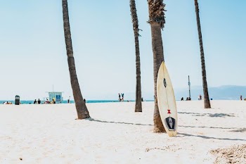 selective focus photography of white surfboard