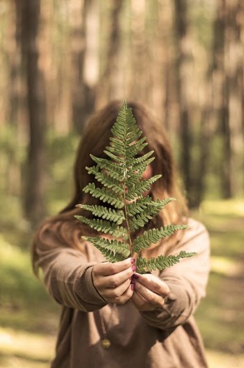 Selective Focus Photography of Woman Holding Leaf in Forest