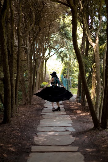 Selective-focus Photography of Woman Walking on Pathway Between Trees
