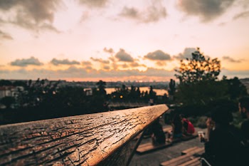 Selective Focus Photography of Wood