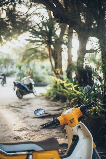 Selective Focus Photography Of Yellow And White Motor Scooter Parked Under Tree