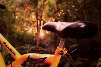 Selective Focus Photography of Yellow Bicycle