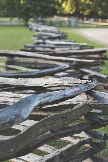 Selective Focus Photography Pile of Firewood