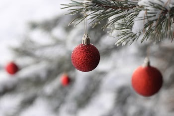 Selective Focus Red Baubles