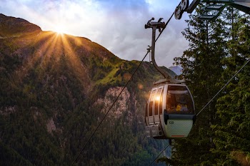 Selective Photo of Cable Car Surrounded by Tree and Hill