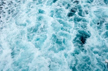 selective photography of body of water