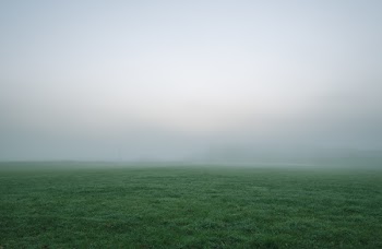 Selective Photography of Green Grass Field Under White and Gray Sky