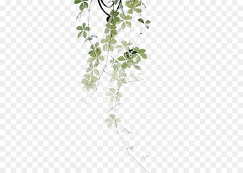Self-love Flower Garden Plant - Drawing plant leaves 
