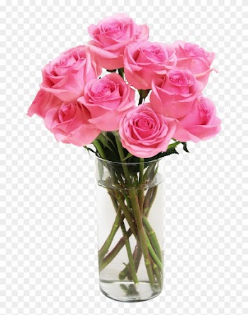 Send Bouquet Of Long Stemmed Pink Roses Delivery In - Transparent Vase Of Roses