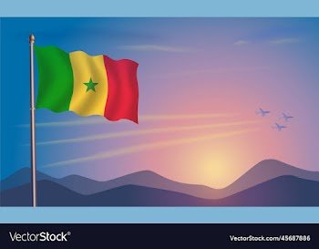 senegal flag in the morning sun