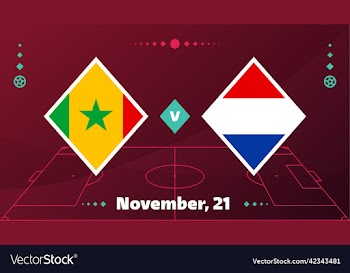 senegal vs netherlands football 2022 group