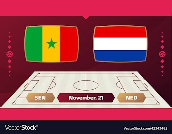 senegal vs netherlands football 2022 group