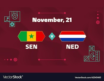 senegal vs netherlands football 2022 group