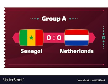 senegal vs netherlands football 2022 group