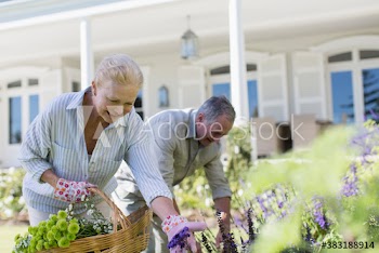 Senior couple picking flowers in garden